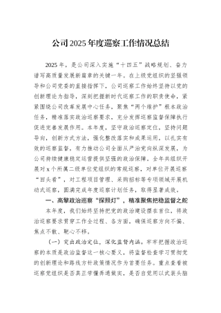 公司2025年度巡察工作情况总结.docx