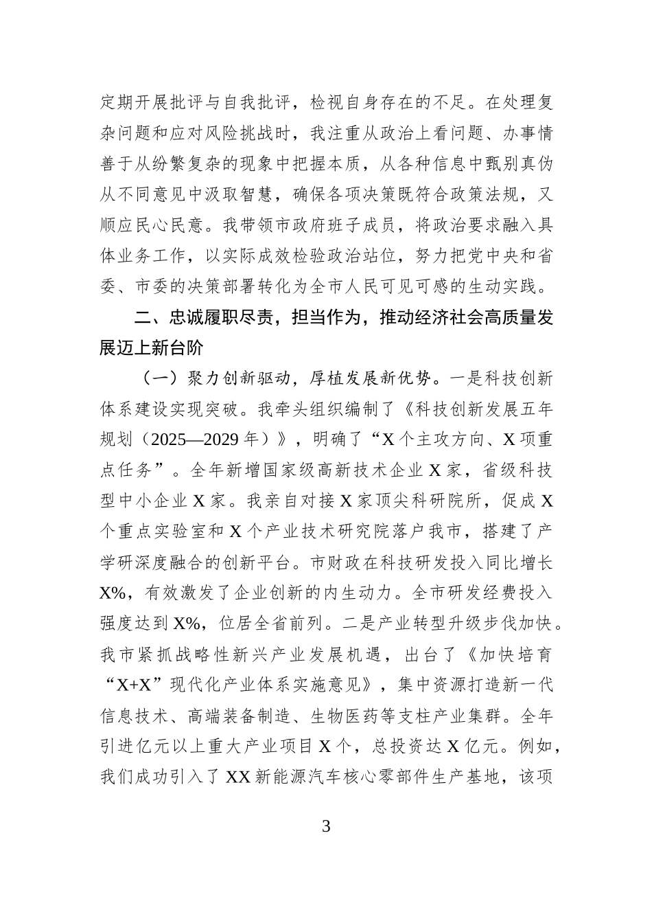 2025年度市长个人述责述廉报告.docx_第3页
