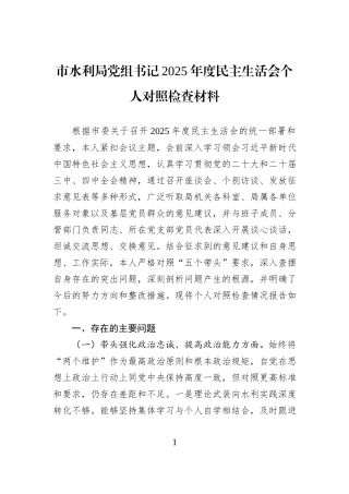 市水利局党组书记2025年度民主生活会个人对照检查材料.docx