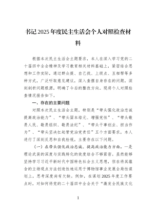 书记2025年度民主生活会个人对照检查材料.docx