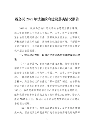 税务局2025年法治政府建设落实情况报告.docx