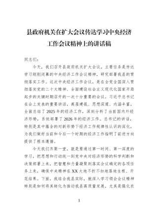 县政府机关在扩大会议传达学习中央经济工作会议精神上的讲话稿.docx