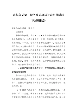 市税务局第一税务分局副局长试用期满转正述职报告.docx