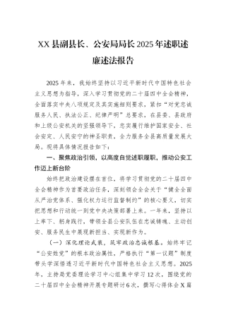 XX县副县长、公安局局长2025年述职述廉述法报告.docx