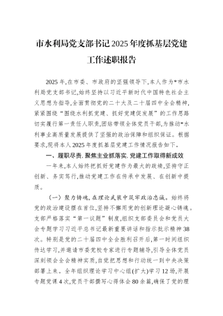 市水利局党支部书记2025年度抓基层党建工作述职报告.docx