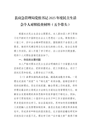 县应急管理局党组书记2025年度民主生活会个人对照检查材料（五个带头）.docx