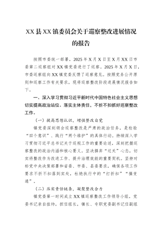XX县XX镇委员会关于巡察整改进展情况的报告.docx