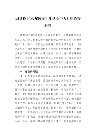 副县长2025年度民主生活会个人对照检查材料.docx