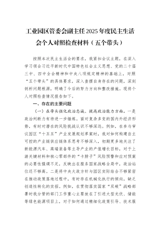 工业园区管委会副主任2025年度民主生活会个人对照检查材料（五个带头）.docx