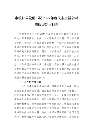 市统计局党组书记2025年度民主生活会对照检查发言材料.docx