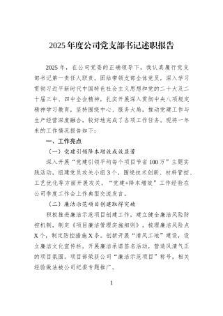 2025年度公司党支部书记述职报告.docx