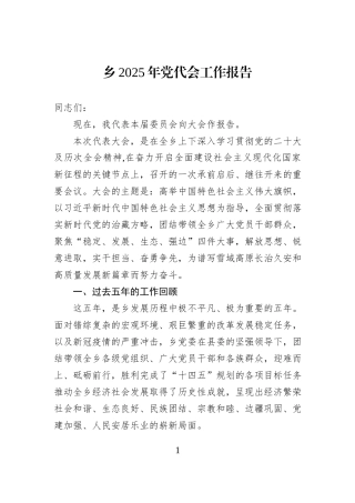 乡2025年党代会工作报告.docx