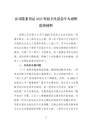 公司党委书记2025年民主生活会个人对照检查材料.docx