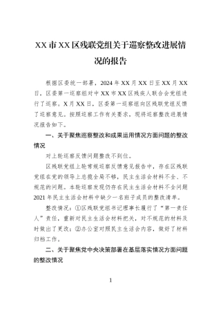 XX市XX区残联党组关于巡察整改进展情况的报告.docx
