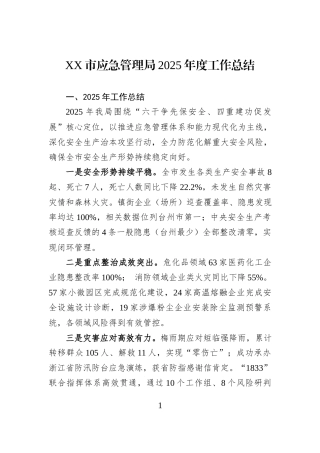 XX市应急管理局2025年度工作总结.docx