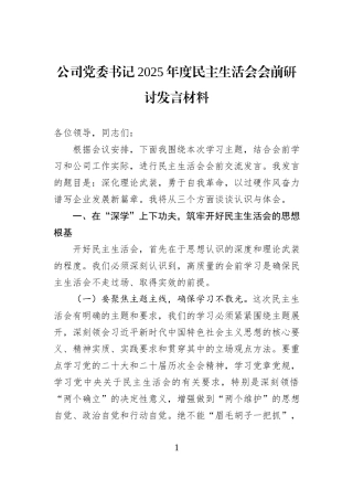 公司党委书记2025年度民主生活会会前研讨发言材料.docx