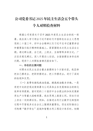 公司党委书记2025年民主生活会五个带头个人对照检查材料.docx