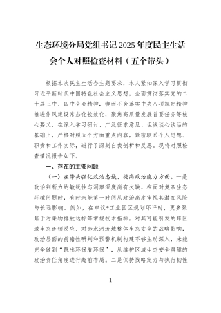 生态环境分局党组书记2025年度民主生活会个人对照检查材料（五个带头）.docx