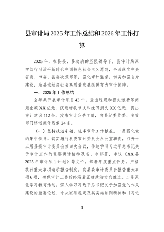县审计局2025年工作总结和2026年工作打算.docx
