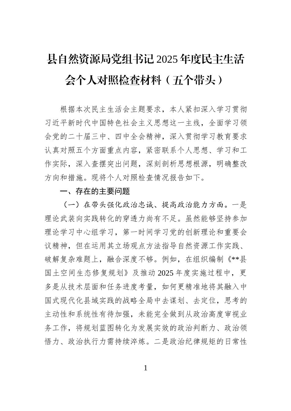 县自然资源局党组书记2025年度民主生活会个人对照检查材料（五个带头）.docx_第1页