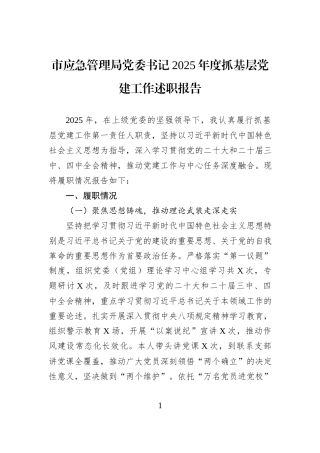 市应急管理局党委书记2025年度抓基层党建工作述职报告.docx