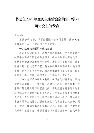 书记在2025年度民主生活会会前集中学习研讨会上的发言.docx