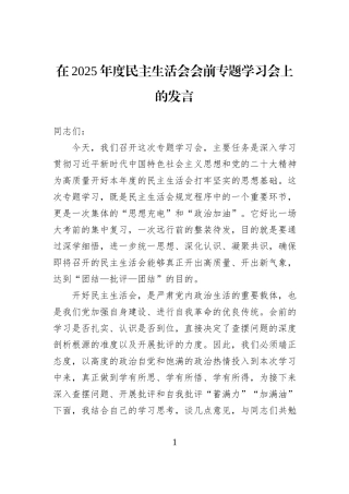 在2025年度民主生活会会前专题学习会上的发言.docx
