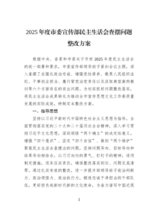 2025年度市委宣传部民主生活会查摆问题整改方案.docx