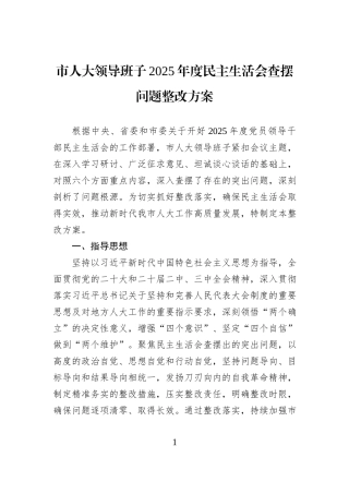 市人大领导班子2025年度民主生活会查摆问题整改方案.docx