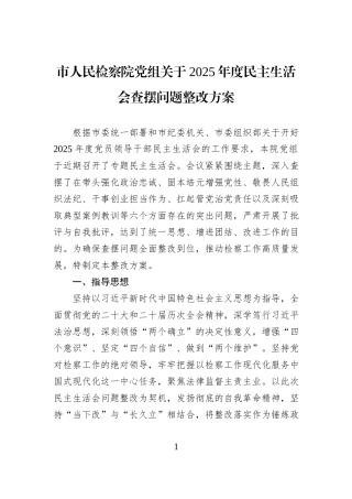 市人民检察院党组关于2025年度民主生活会查摆问题整改方案.docx