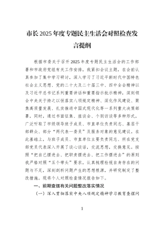 市长2025年度专题民主生活会对照检查发言提纲.docx