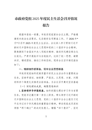市政府党组2025年度民主生活会召开情况报告.docx