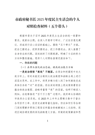 市政府秘书长2025年度民主生活会的个人对照检查材料（五个带头）.docx