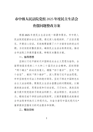 市中级人民法院党组2025年度民主生活会查摆问题整改方案.docx