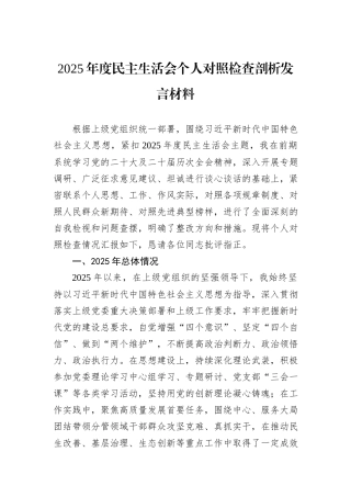 2025年度民主生活会个人对照检查剖析发言材料.docx
