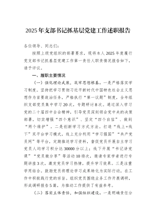 2025年支部书记抓基层党建工作述职报告.docx