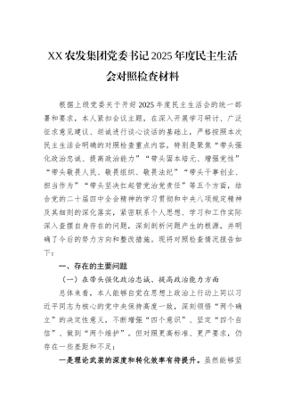 XX农发集团党委书记2025年度民主生活会对照检查材料.docx