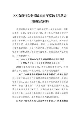 XX农商行党委书记2025年度民主生活会对照检查材料.docx