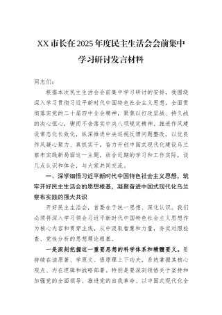 XX市长在2025年度民主生活会会前集中学习研讨发言材料.docx