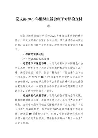 党支部2025年组织生活会班子对照检查材料.docx