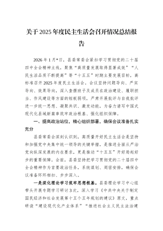 关于2025年度民主生活会召开情况总结报告.docx