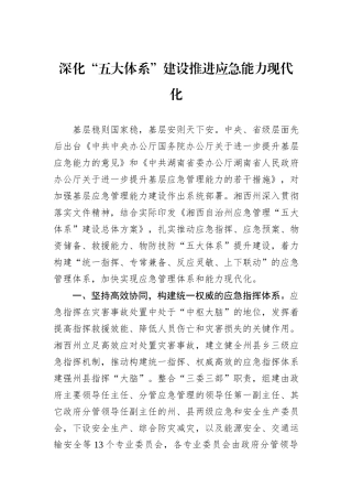 深化“五大体系”建设推进应急能力现代化.docx