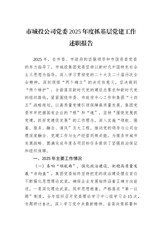 市城投公司党委2025年度抓基层党建工作述职报告.docx
