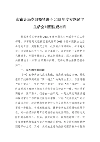 市审计局党组领导班子2025年度专题民主生活会对照检查材料.docx