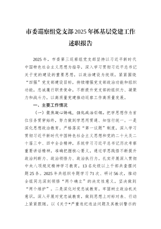 市委巡察组党支部2025年抓基层党建工作述职报告.docx