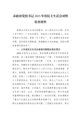 市政府党组书记2025年度民主生活会对照检查材料.docx