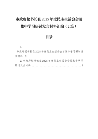 市政府秘书长在2025年度民主生活会会前集中学习研讨发言材料汇编（2篇）.docx