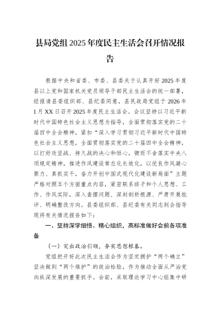 县局党组2025年度民主生活会召开情况报告.docx