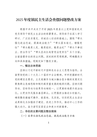 2025年度镇民主生活会查摆问题整改方案.docx