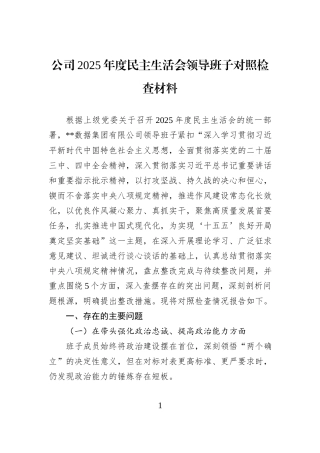 公司2025年度民主生活会领导班子对照检查材料.docx